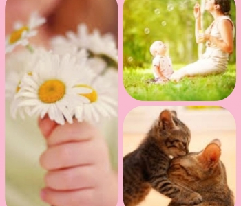 Emadepäeva tervitus Sõlekese perelt