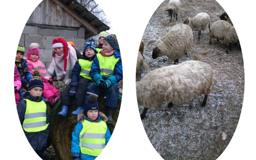 Peoleo rühm lammastel külas