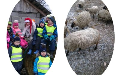 Peoleo rühm lammastel külas