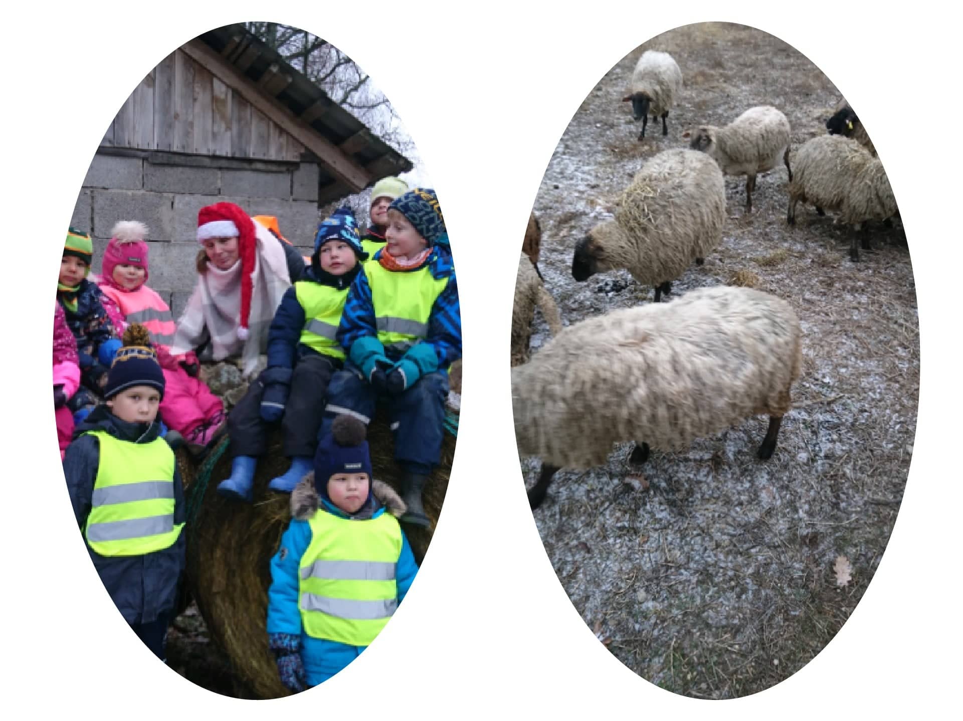 Lambad on siin ja lambad on seal.