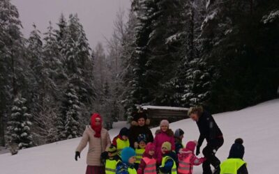 Peoleo rühma projekt Kes elab metsa sees?